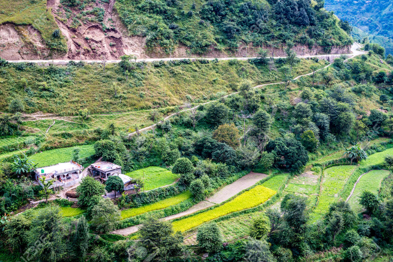 homestays-in-chakrata-in-jaunsar-in-Uttarakhand-india